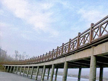CFRP Reinforced Concrete Bridge - HORSE Construction